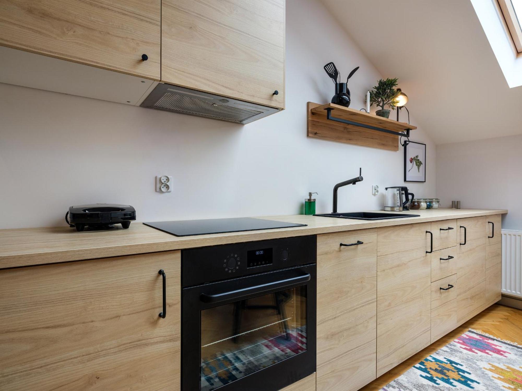 Tyzenhauz Apartments Siemiradzkiego Street Краків Екстер'єр фото
